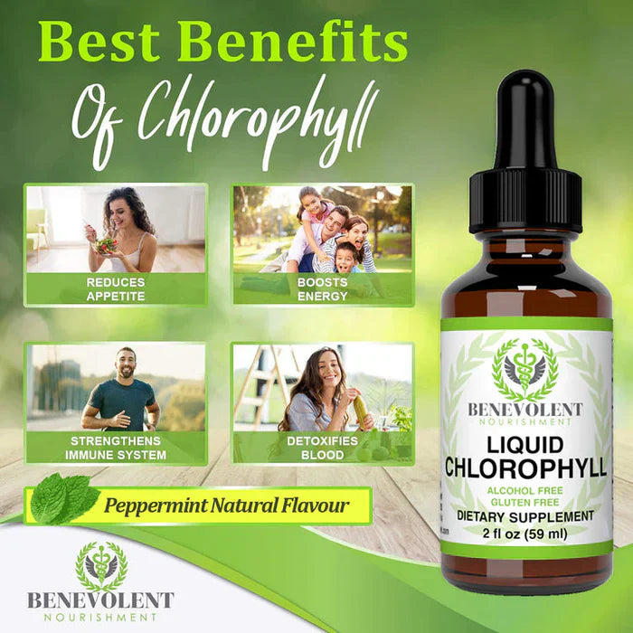 Benevolent Chlorophyll Liquid Drops – Chlorophyll Drops for Detox, Immune & Gut Support