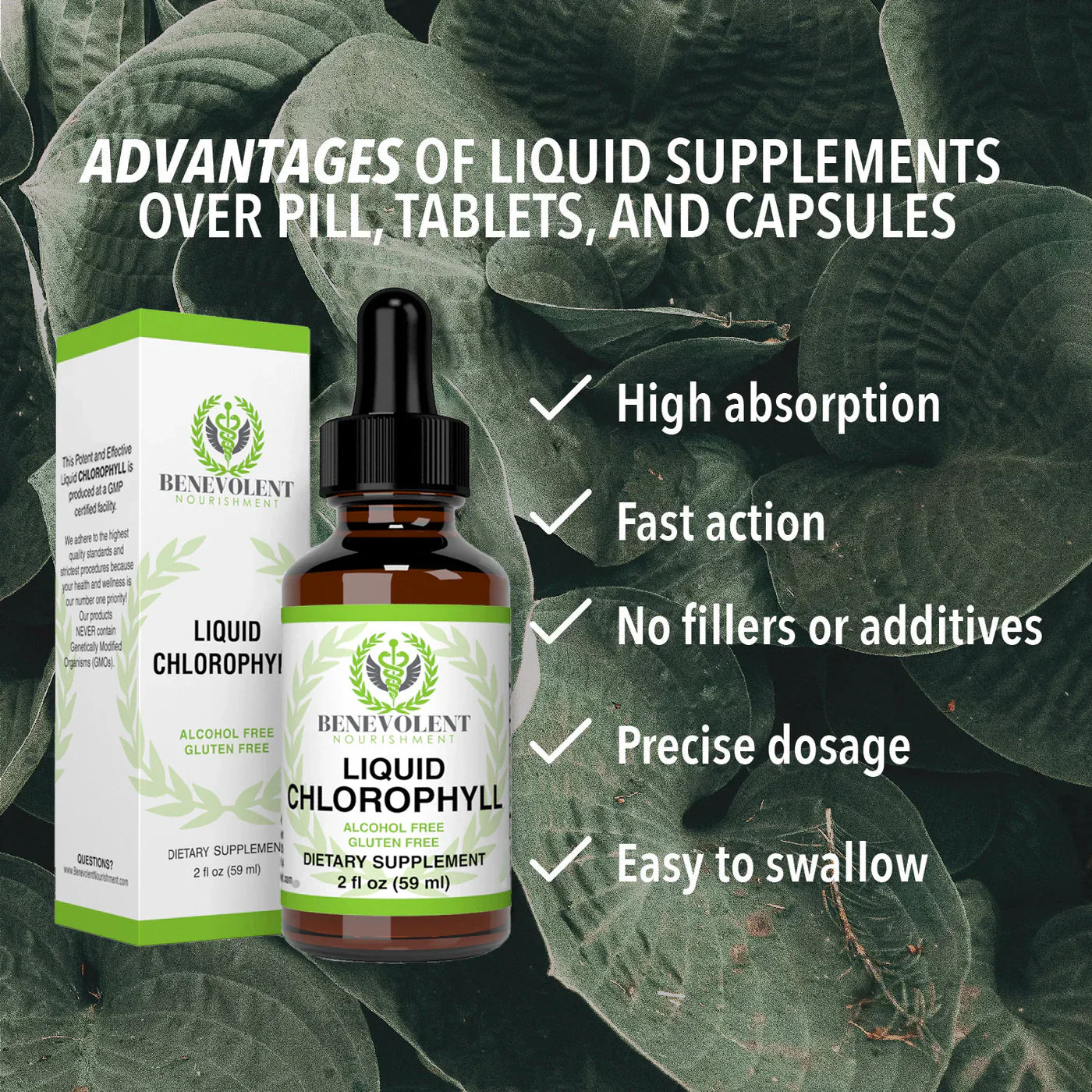 Benevolent Chlorophyll Liquid Drops – Chlorophyll Drops for Detox, Immune & Gut Support
