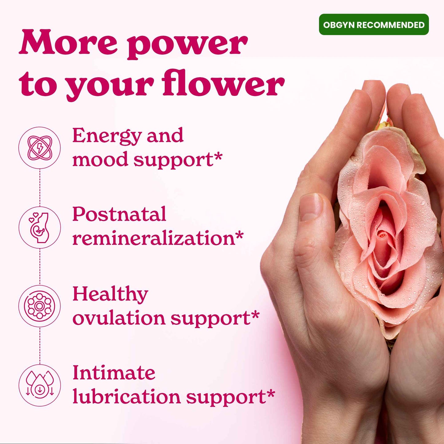 She-Lajit - Himalayan Pure Shilajit Honey Sticks