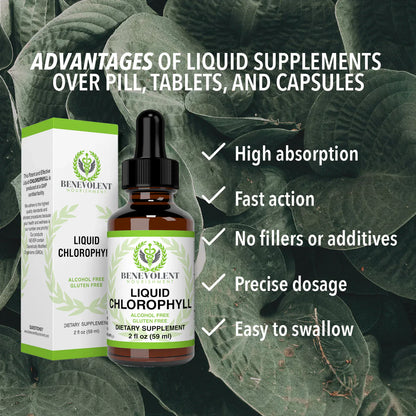 Benevolent Chlorophyll Liquid Drops – Chlorophyll Drops for Detox, Immune & Gut Support