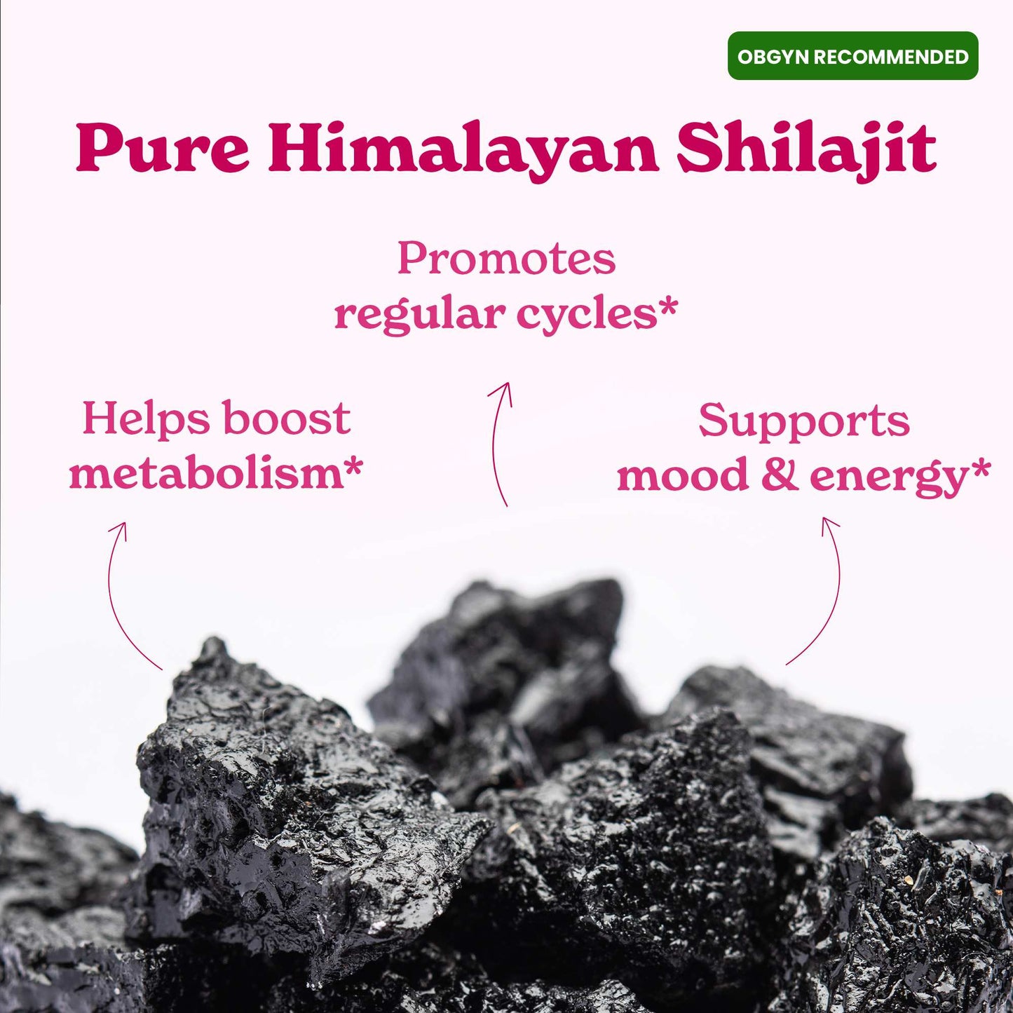 She-Lajit - Himalayan Pure Shilajit Honey Sticks