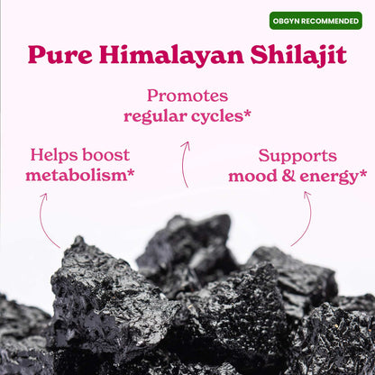 She-Lajit - Himalayan Pure Shilajit Honey Sticks