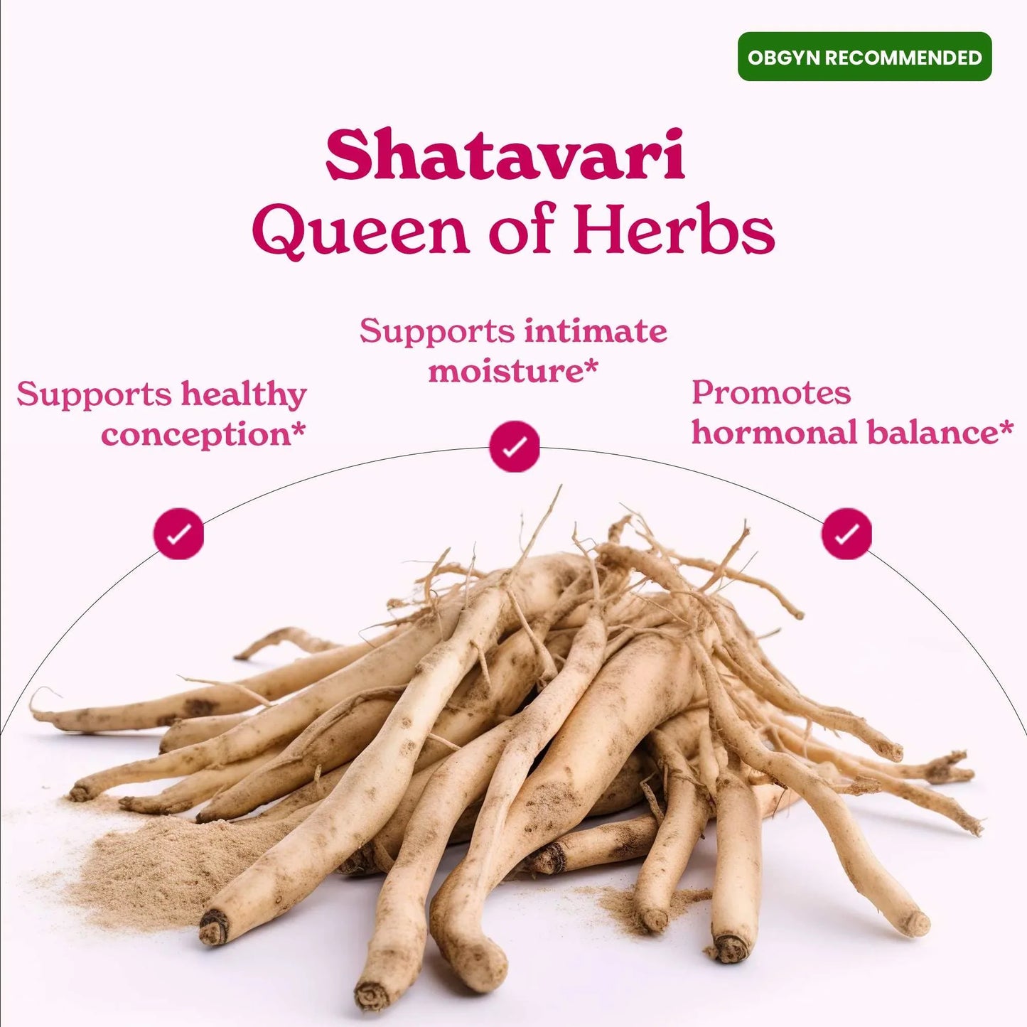 She-Lajit - Himalayan Pure Shilajit Honey Sticks