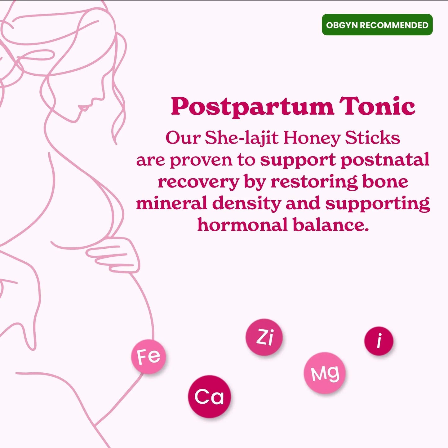 She-Lajit - Himalayan Pure Shilajit Honey Sticks