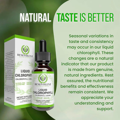 Benevolent Chlorophyll Liquid Drops – Chlorophyll Drops for Detox, Immune & Gut Support